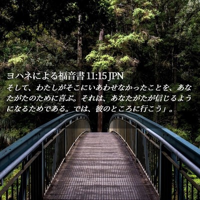 Picture 02 - ヨハネによる福音書 11:15 JPN - そして、わたしがそこにいあわせな - Bible Verse Picture