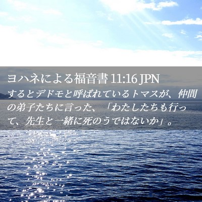 Picture 02 - ヨハネによる福音書 11:16 JPN - するとデドモと呼ばれているトマス - Bible Verse Picture