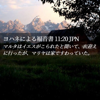 Picture 02 - ヨハネによる福音書 11:20 JPN - マルタはイエスがこられたと聞いて - Bible Verse Picture