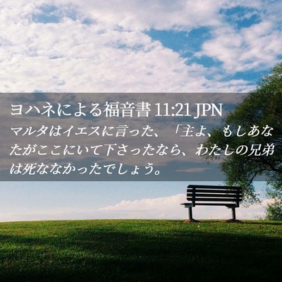 Picture 02 - ヨハネによる福音書 11:21 JPN - マルタはイエスに言った、「主よ、 - Bible Verse Picture