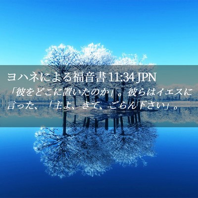 Picture 02 - ヨハネによる福音書 11:34 JPN - 「彼をどこに置いたのか」。彼らは - Bible Verse Picture