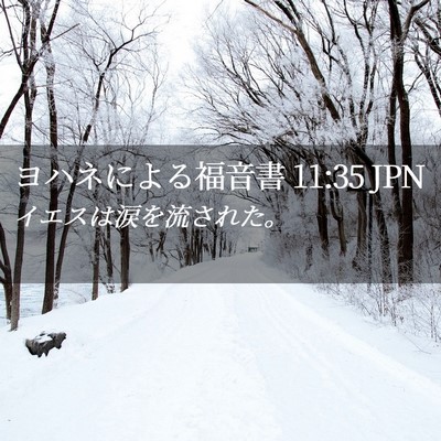 Picture 02 - ヨハネによる福音書 11:35 JPN - イエスは涙を流された。 - Bible Verse Picture