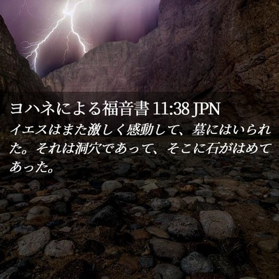 Picture 02 - ヨハネによる福音書 11:38 JPN - イエスはまた激しく感動して、墓に - Bible Verse Picture