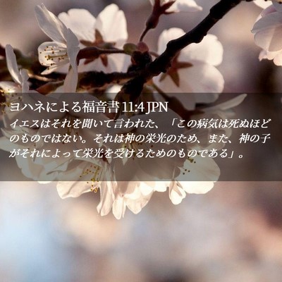 Picture 02 - ヨハネによる福音書 11:4 JPN - イエスはそれを聞いて言われた、「 - Bible Verse Picture