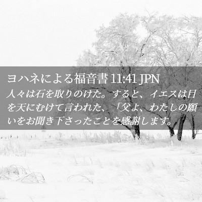 Picture 02 - ヨハネによる福音書 11:41 JPN - 人々は石を取りのけた。すると、イ - Bible Verse Picture