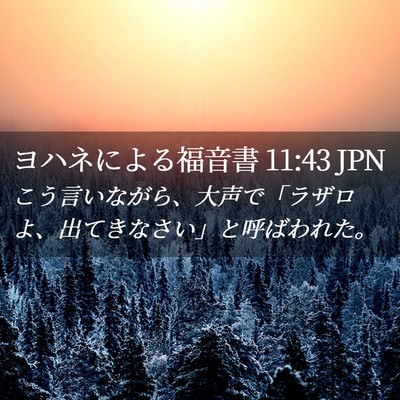 Picture 02 - ヨハネによる福音書 11:43 JPN - こう言いながら、大声で「ラザロよ - Bible Verse Picture