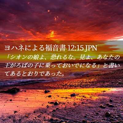 Picture 02 - ヨハネによる福音書 12:15 JPN - 「シオンの娘よ、恐れるな。見よ、 - Bible Verse Picture