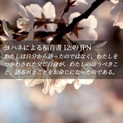 Picture 02 - ヨハネによる福音書 12:49 JPN - わたしは自分から語ったのではなく - Bible Verse Picture