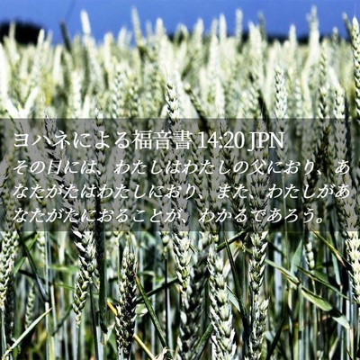 Picture 02 - ヨハネによる福音書 14:20 JPN - その日には、わたしはわたしの父に - Bible Verse Picture