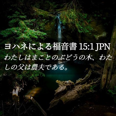 Picture 02 - ヨハネによる福音書 15:1 JPN - わたしはまことのぶどうの木、わた - Bible Verse Picture