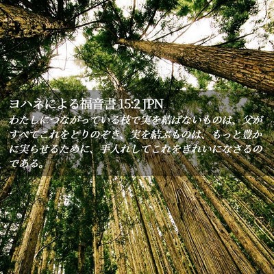 Picture 02 - ヨハネによる福音書 15:2 JPN - わたしにつながっている枝で実を結 - Bible Verse Picture
