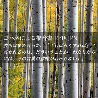 Picture 02 - ヨハネによる福音書 16:18 JPN - 彼らはまた言った、「『しばらくす - Bible Verse Picture
