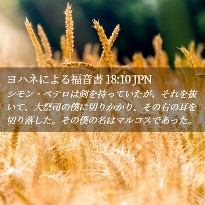 Picture 02 - ヨハネによる福音書 18:10 JPN - シモン・ペテロは剣を持っていたが - Bible Verse Picture