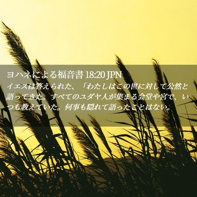 Picture 02 - ヨハネによる福音書 18:20 JPN - イエスは答えられた、「わたしはこ - Bible Verse Picture