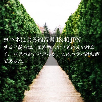 Picture 02 - ヨハネによる福音書 18:40 JPN - すると彼らは、また叫んで「その人 - Bible Verse Picture
