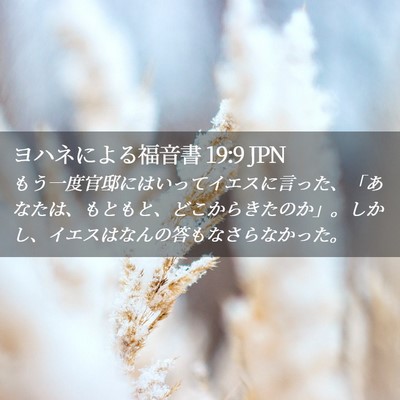 Picture 02 - ヨハネによる福音書 19:9 JPN - もう一度官邸にはいってイエスに言 - Bible Verse Picture
