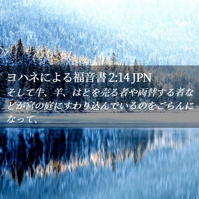 Picture 02 - ヨハネによる福音書 2:14 JPN - そして牛、羊、はとを売る者や両替 - Bible Verse Picture