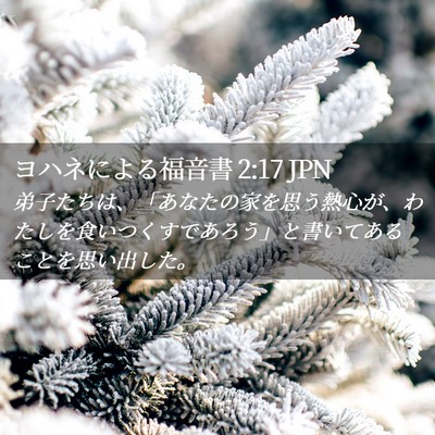Picture 02 - ヨハネによる福音書 2:17 JPN - 弟子たちは、「あなたの家を思う熱 - Bible Verse Picture