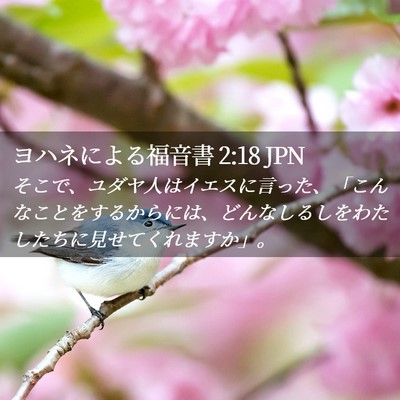 Picture 02 - ヨハネによる福音書 2:18 JPN - そこで、ユダヤ人はイエスに言った - Bible Verse Picture