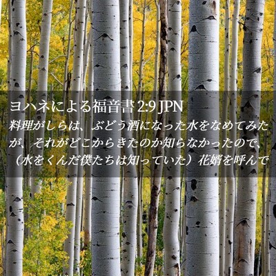 Picture 02 - ヨハネによる福音書 2:9 JPN - 料理がしらは、ぶどう酒になった水 - Bible Verse Picture