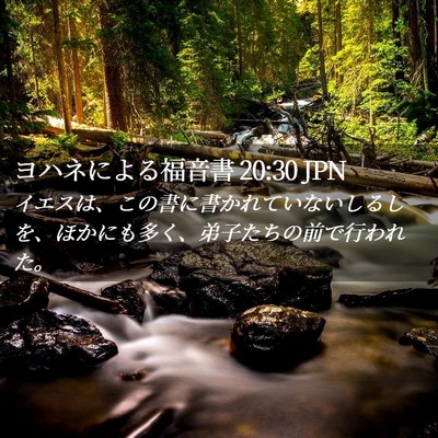 Picture 02 - ヨハネによる福音書 20:30 JPN - イエスは、この書に書かれていない - Bible Verse Picture