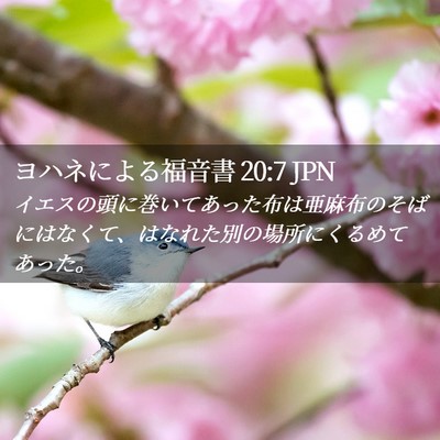 Picture 02 - ヨハネによる福音書 20:7 JPN - イエスの頭に巻いてあった布は亜麻 - Bible Verse Picture