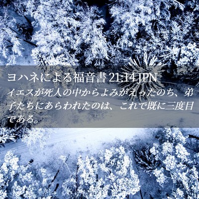 Picture 02 - ヨハネによる福音書 21:14 JPN - イエスが死人の中からよみがえった - Bible Verse Picture