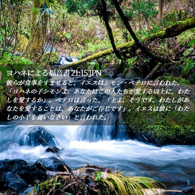 Picture 02 - ヨハネによる福音書 21:15 JPN - 彼らが食事をすませると、イエスは - Bible Verse Picture