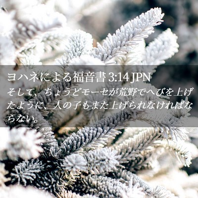 Picture 02 - ヨハネによる福音書 3:14 JPN - そして、ちょうどモーセが荒野でへ - Bible Verse Picture