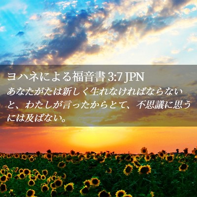 Picture 02 - ヨハネによる福音書 3:7 JPN - あなたがたは新しく生れなければな - Bible Verse Picture