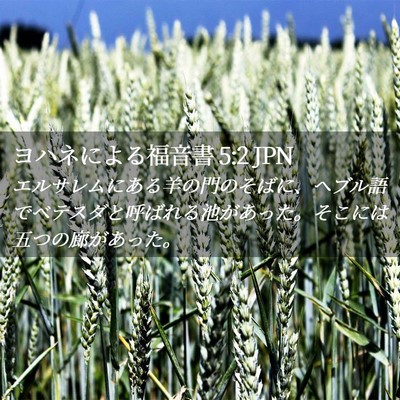 Picture 02 - ヨハネによる福音書 5:2 JPN - エルサレムにある羊の門のそばに、 - Bible Verse Picture