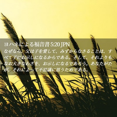 Picture 02 - ヨハネによる福音書 5:20 JPN - なぜなら、父は子を愛して、みずか - Bible Verse Picture