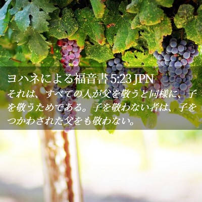 Picture 02 - ヨハネによる福音書 5:23 JPN - それは、すべての人が父を敬うと同 - Bible Verse Picture
