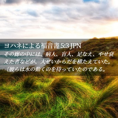 Picture 02 - ヨハネによる福音書 5:3 JPN - その廊の中には、病人、盲人、足な - Bible Verse Picture