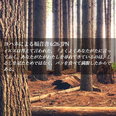 Picture 02 - ヨハネによる福音書 6:26 JPN - イエスは答えて言われた、「よくよ - Bible Verse Picture