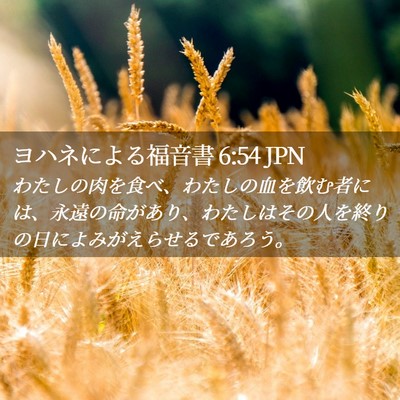 Picture 02 - ヨハネによる福音書 6:54 JPN - わたしの肉を食べ、わたしの血を飲 - Bible Verse Picture