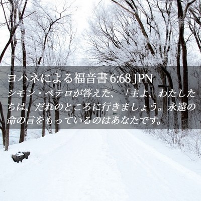 Picture 02 - ヨハネによる福音書 6:68 JPN - シモン・ペテロが答えた、「主よ、 - Bible Verse Picture