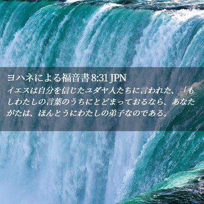 Picture 02 - ヨハネによる福音書 8:31 JPN - イエスは自分を信じたユダヤ人たち - Bible Verse Picture