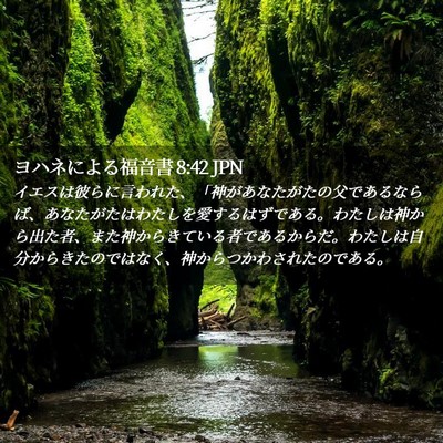 Picture 02 - ヨハネによる福音書 8:42 JPN - イエスは彼らに言われた、「神があ - Bible Verse Picture