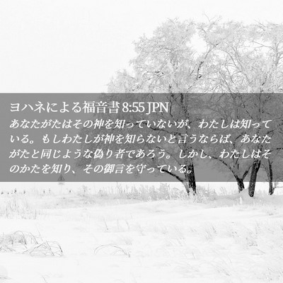 Picture 02 - ヨハネによる福音書 8:55 JPN - あなたがたはその神を知っていない - Bible Verse Picture