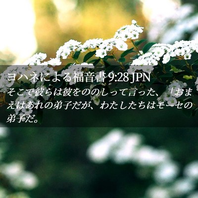Picture 02 - ヨハネによる福音書 9:28 JPN - そこで彼らは彼をののしって言った - Bible Verse Picture