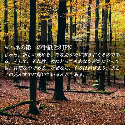 Picture 02 - ヨハネの第一の手紙 2:8 JPN - しかも、新しい戒めを、あなたがた - Bible Verse Picture