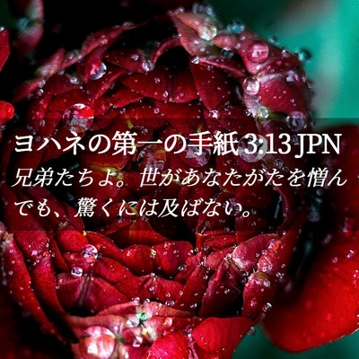 Picture 02 - ヨハネの第一の手紙 3:13 JPN - 兄弟たちよ。世があなたがたを憎ん - Bible Verse Picture