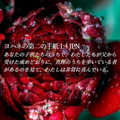 Picture 02 - ヨハネの第二の手紙 1:4 JPN - あなたの子供たちのうちで、わたし - Bible Verse Picture