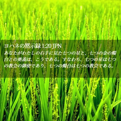 Picture 02 - ヨハネの黙示録 1:20 JPN - あなたがわたしの右手に見た七つの - Bible Verse Picture
