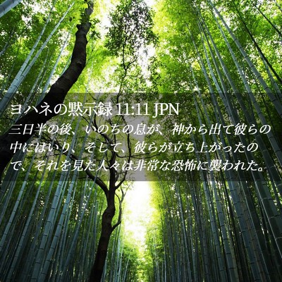 Picture 02 - ヨハネの黙示録 11:11 JPN - 三日半の後、いのちの息が、神から - Bible Verse Picture