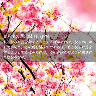 Picture 02 - ヨハネの黙示録 11:5 JPN - もし彼らに害を加えようとする者が - Bible Verse Picture