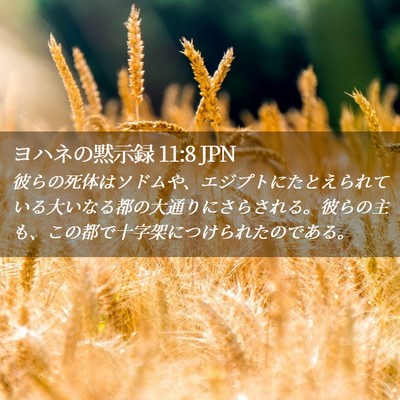 Picture 02 - ヨハネの黙示録 11:8 JPN - 彼らの死体はソドムや、エジプトに - Bible Verse Picture