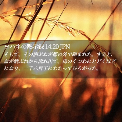 Picture 02 - ヨハネの黙示録 14:20 JPN - そして、その酒ぶねが都の外で踏ま - Bible Verse Picture