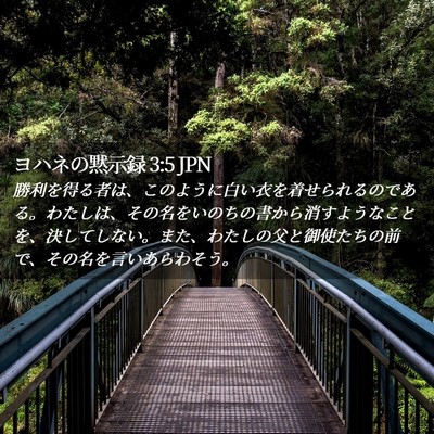 Picture 02 - ヨハネの黙示録 3:5 JPN - 勝利を得る者は、このように白い衣 - Bible Verse Picture